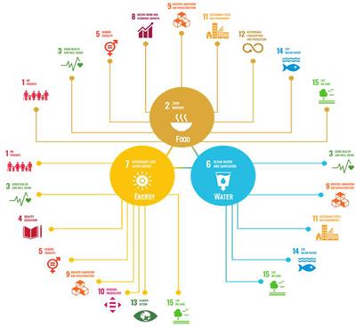 Sustainable WEF Nexus Management: A Conceptual Framework to Integrate Models of Social, Economic, Policy, and Institutional Developments